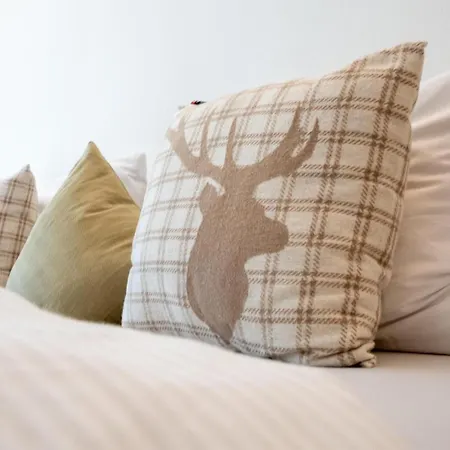 Emi Apartament Dalaas