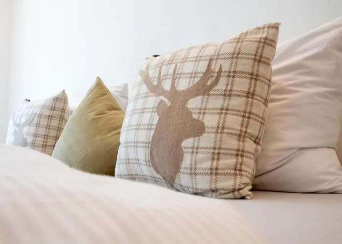 Emi Apartment Dalaas